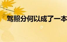 驾照分何以成了一本生意经？(今日/头条)