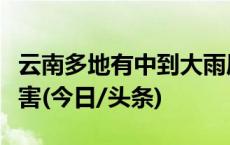 云南多地有中到大雨局部暴雨加强防范次生灾害(今日/头条)