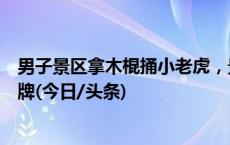 男子景区拿木棍捅小老虎，景区：已收到举报，会增加警示牌(今日/头条)