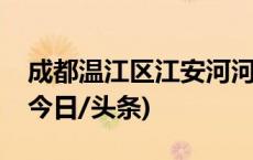 成都温江区江安河河道被贴瓷砖？官方回应(今日/头条)