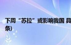 下周“苏拉”或影响我国 具体情况如何？专家分析(今日/头条)