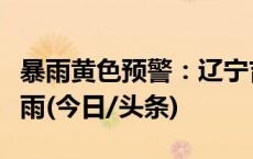 暴雨黄色预警：辽宁吉林山东等地局地有大暴雨(今日/头条)