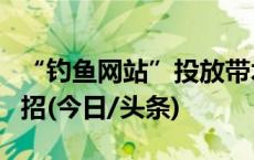 “钓鱼网站”投放带木马链接，百万台电脑中招(今日/头条)