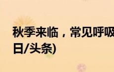 秋季来临，常见呼吸道疾病该如何预防？(今日/头条)