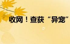 收网！查获“异宠”4350只(今日/头条)