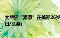 大熊猫“添添”在美迎26岁生日 将于今年年底按期回国(今日/头条)