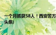 一个月抓获58人！西安警方严厉打击演唱会“黄牛”(今日/头条)