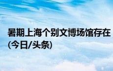 暑期上海个别文博场馆存在“黄牛”倒票，警方查3案拘8人(今日/头条)