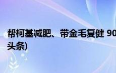 帮柯基减肥、带金毛复健 90后年轻人当起宠物康复师(今日/头条)