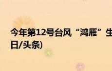 今年第12号台风“鸿雁”生成，海面再次“三台共舞”(今日/头条)