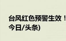 台风红色预警生效！2016年以来仅第12次(今日/头条)