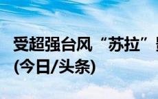 受超强台风“苏拉”影响，香港数百航班取消(今日/头条)