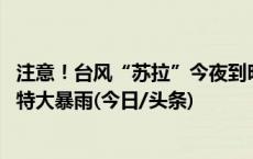 注意！台风“苏拉”今夜到明天或将登陆广东 粤东局地将现特大暴雨(今日/头条)