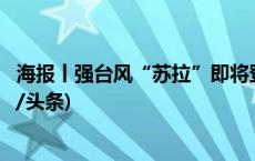 海报丨强台风“苏拉”即将登陆，这份防范指南快收藏(今日/头条)