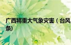 广西将重大气象灾害（台风）应急响应提升为Ⅲ级(今日/头条)