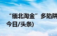 “缅北淘金”多陷阱！警惕黑手伸向青少年(今日/头条)