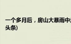 一个多月后，房山大暴雨中走失的20多只羊找回来了(今日/头条)