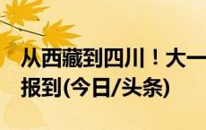 从西藏到四川！大一新生2个月徒步上千公里报到(今日/头条)