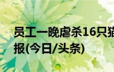 员工一晚虐杀16只猫？工行南宁新城支行通报(今日/头条)