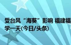 受台风“海葵”影响 福建福州全市中小学、幼儿园停课、停学一天(今日/头条)