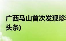 广西马山首次发现珍稀濒危植物长梗茶(今日/头条)