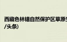 西藏色林错自然保护区草原生态保护鱼类监测项目启动(今日/头条)