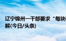 辽宁锦州一干部要求“每块砖缝无尘土”，官方：视频被曲解(今日/头条)