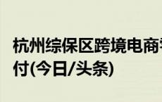 杭州综保区跨境电商零售进口税款开启电子支付(今日/头条)