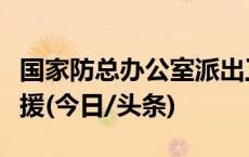 国家防总办公室派出工作组赴甘肃指导抢险救援(今日/头条)