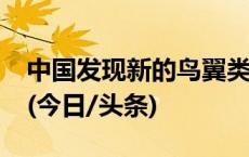 中国发现新的鸟翼类恐龙化石“奇异福建龙”(今日/头条)