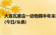 大连瓦房店一动物园半年未发工资？住建局：正在协调解决(今日/头条)