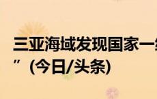 三亚海域发现国家一级保护野生动物“斑海豹”(今日/头条)