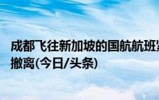 成都飞往新加坡的国航航班紧急降落樟宜机场 机上人员安全撤离(今日/头条)