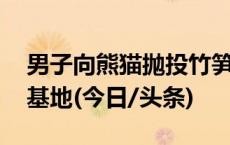 男子向熊猫抛投竹笋 被终身禁入成都大熊猫基地(今日/头条)