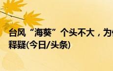 台风“海葵”个头不大，为何能持续带来极端强降雨？专家释疑(今日/头条)