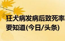 狂犬病发病后致死率近100%！这些救命知识要知道(今日/头条)