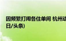 因频繁打闹各住单间 杭州动物园两只大熊猫已分开饲养(今日/头条)