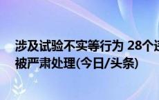 涉及试验不实等行为 28个违规国家级审定品种联合体试验被严肃处理(今日/头条)