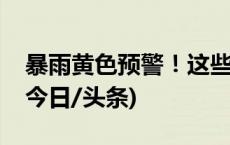 暴雨黄色预警！这些地区进入降雨最强时段(今日/头条)