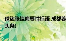 球迷张挂侮辱性标语 成都蓉城俱乐部和成都赛区被罚(今日/头条)