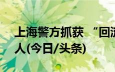 上海警方抓获 “回流”境内涉诈人员420余人(今日/头条)