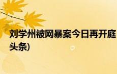 刘学州被网暴案今日再开庭，代理律师：未当庭宣判(今日/头条)