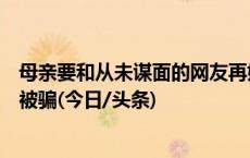 母亲要和从未谋面的网友再婚？老年人线上交友相亲为何屡被骗(今日/头条)