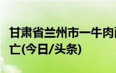 甘肃省兰州市一牛肉面馆发生火灾造成人员伤亡(今日/头条)