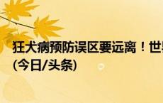 狂犬病预防误区要远离！世界狂犬病日这些知识点学起来→(今日/头条)