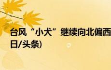 台风“小犬”继续向北偏西方向移动 最强可达强台风级(今日/头条)