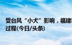 受台风“小犬”影响，福建和广东沿海将现一次台风风暴潮过程(今日/头条)