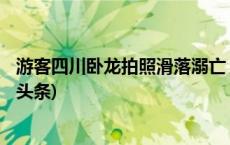 游客四川卧龙拍照滑落溺亡 当地：属实，已临时管制(今日/头条)