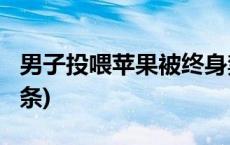 男子投喂苹果被终身禁入大熊猫基地(今日/头条)