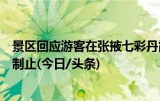 景区回应游客在张掖七彩丹霞挖土：事发非核心区域，及时制止(今日/头条)